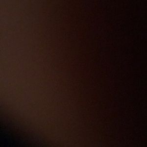 Meet your Posher, Daisy